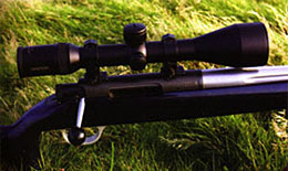 Robin's RPA rifle